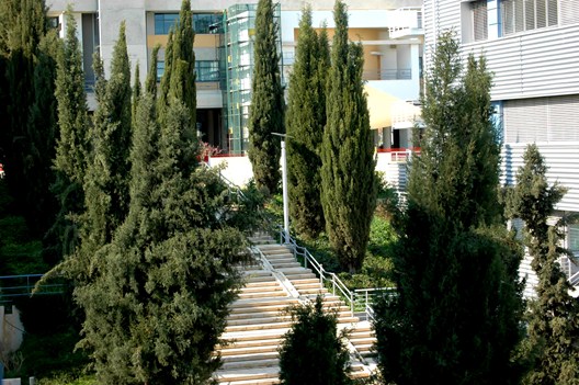 Courtyard between Computer Science and Economics and Management Departments